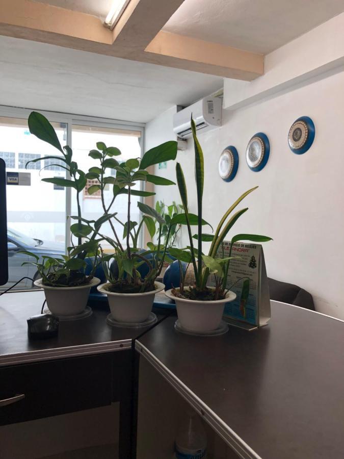 Hotel Suites La Roca Cancun Luaran gambar